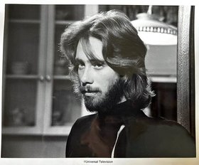 Sunshine the TV series